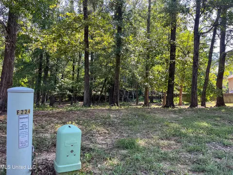 Cottesbrooke Circle, Madison, MS 39110 photo 4