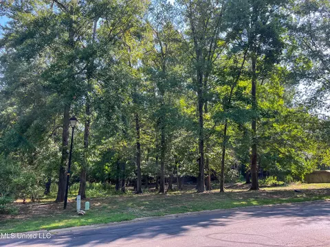 Cottesbrooke Circle, Madison, MS 39110 photo 13