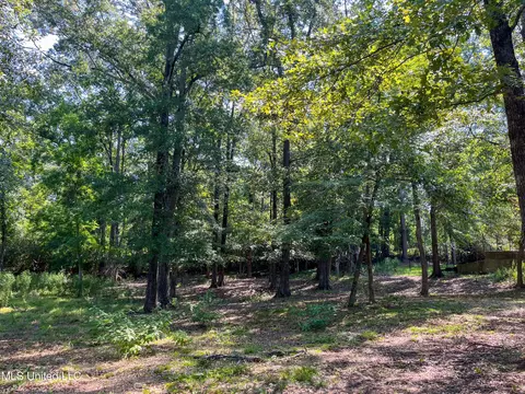 Cottesbrooke Circle, Madison, MS 39110 photo 24