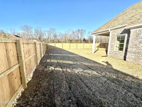 2955 Molly Cv, Nesbit, MS 38651 photo 35