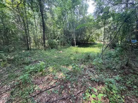 0 Old Hwy 24, Centreville, MS 39631