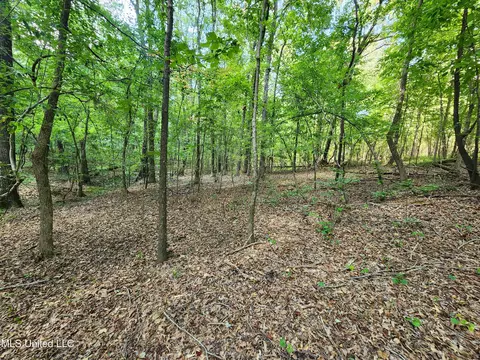 Walhill Road, Coldwater, MS 38618 photo 7