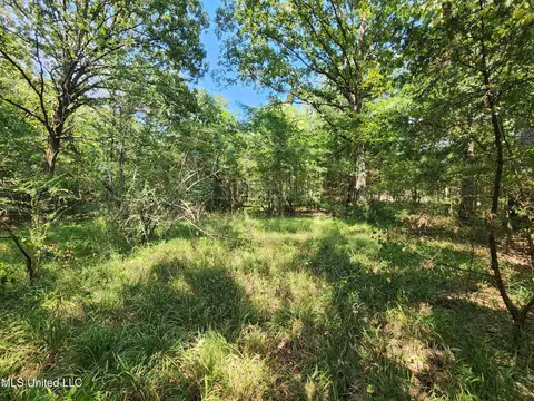 Walhill Road, Coldwater, MS 38618 photo 4