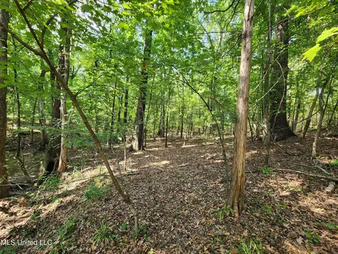 Walhill Road, Coldwater, MS 38618 photo 6