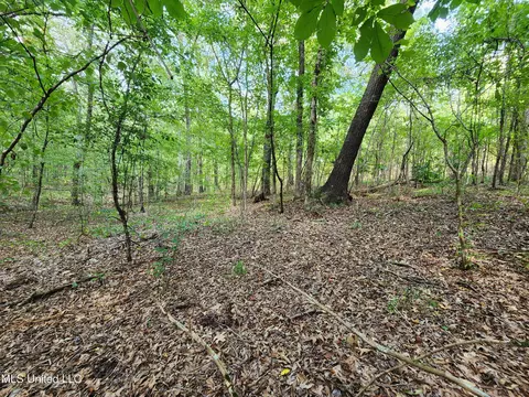 Walhill Road, Coldwater, MS 38618 photo 9