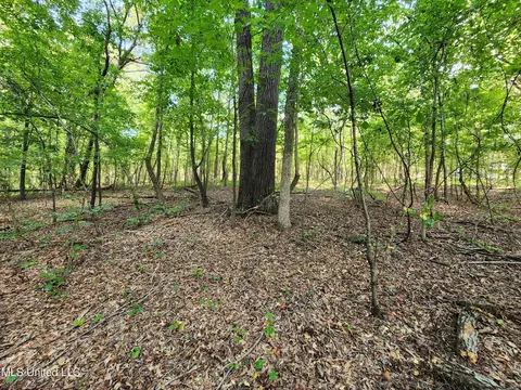 Walhill Road, Coldwater, MS 38618 photo 8