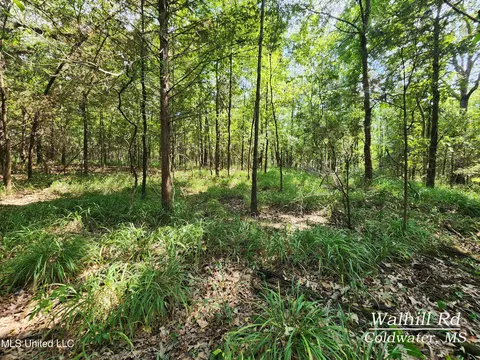 Walhill Road, Coldwater, MS 38618