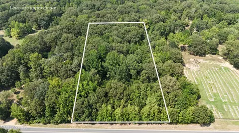 Walhill Road, Coldwater, MS 38618 photo 2