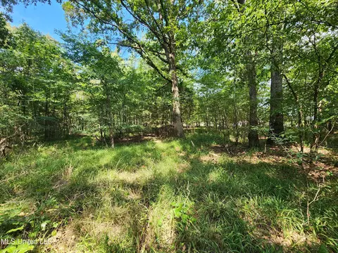 Walhill Road, Coldwater, MS 38618 photo 12