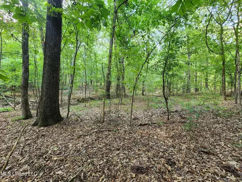 Walhill Road, Coldwater, MS 38618 photo 10