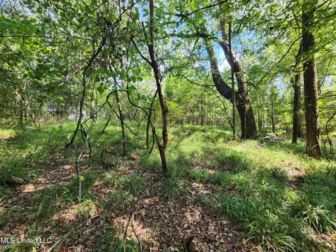 Walhill Road, Coldwater, MS 38618 photo 5