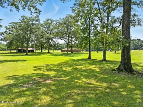 Exterior - 1097 Van Norman Curv, Mccomb, MS 39648 photo 16 of 18