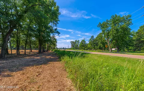 174 Catlett Rd, Gluckstadt, MS 39110 photo 16