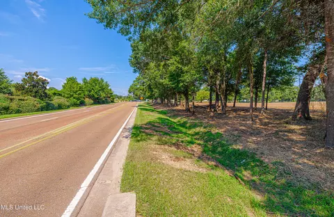 174 Catlett Rd, Gluckstadt, MS 39110 photo 11