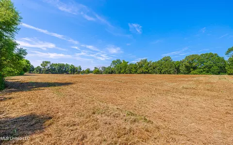 174 Catlett Rd, Gluckstadt, MS 39110 photo 14