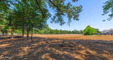 174 Catlett Rd, Gluckstadt, MS 39110 photo 17