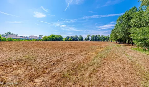 174 Catlett Rd, Gluckstadt, MS 39110 photo 15
