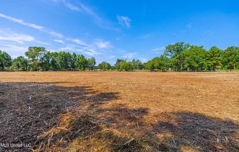 174 Catlett Rd, Gluckstadt, MS 39110 photo 13