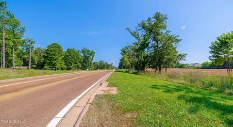 174 Catlett Rd, Gluckstadt, MS 39110 photo 10