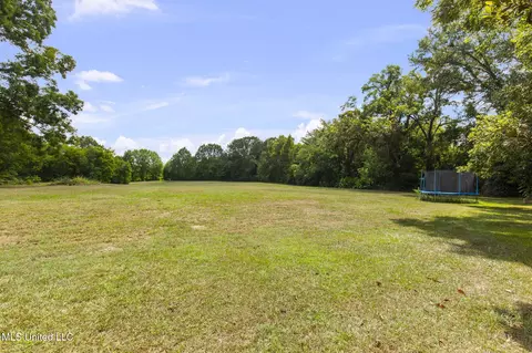 Exterior - 818 Cannon Ave, Bentonia, MS 39040 photo 33 of 34