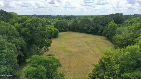 Other - 818 Cannon Ave, Bentonia, MS 39040 photo 10 of 29