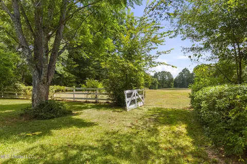 Exterior - 818 Cannon Ave, Bentonia, MS 39040 photo 30 of 34
