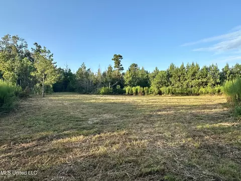 John I Hay Road, Wesson, MS 39191 photo 12
