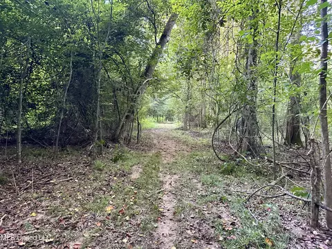John I Hay Road, Wesson, MS 39191 photo 19