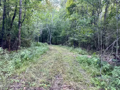 John I Hay Road, Wesson, MS 39191 photo 16