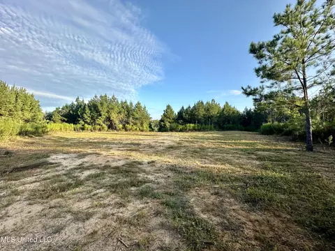 John I Hay Road, Wesson, MS 39191 photo 10