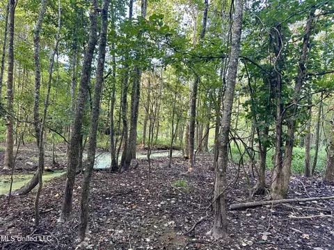 John I Hay Road, Wesson, MS 39191 photo 25