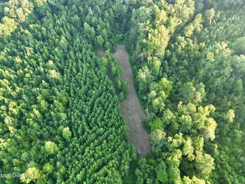 John I Hay Road, Wesson, MS 39191 photo 4