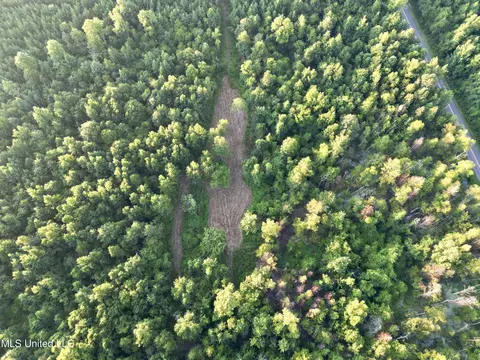 John I Hay Road, Wesson, MS 39191 photo 5