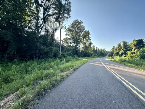 John I Hay Road, Wesson, MS 39191 photo 28
