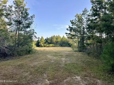 John I Hay Road, Wesson, MS 39191 photo 9