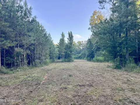 John I Hay Road, Wesson, MS 39191 photo 14