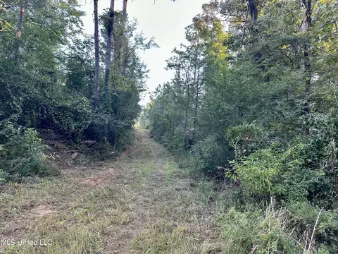 John I Hay Road, Wesson, MS 39191 photo 8
