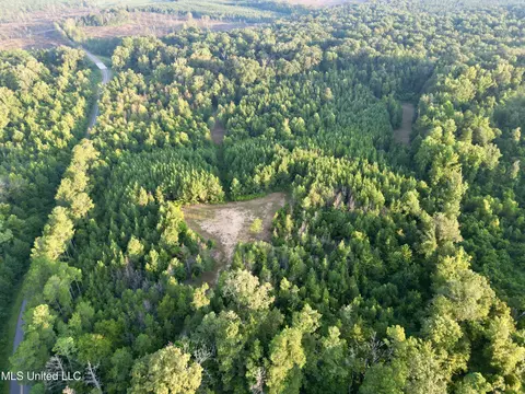 John I Hay Road, Wesson, MS 39191 photo 6