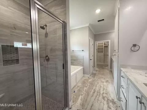 Bath - 213 Wethersfield Dr, Florence, MS 39073 photo 1 of 2