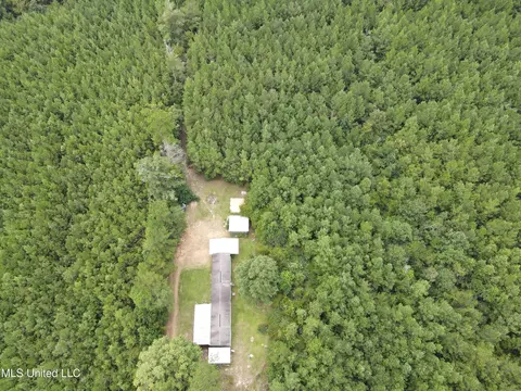 3658 NE Fugler Loop, Brookhaven, MS 39601 photo 43