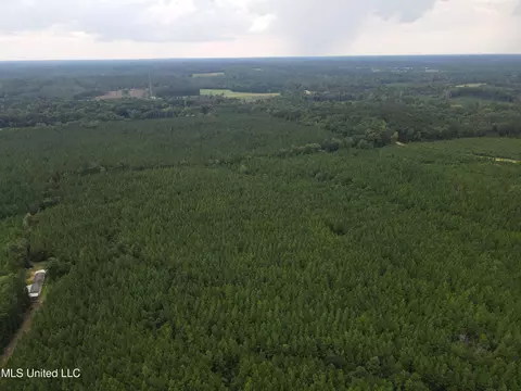 3658 NE Fugler Loop, Brookhaven, MS 39601 photo 39
