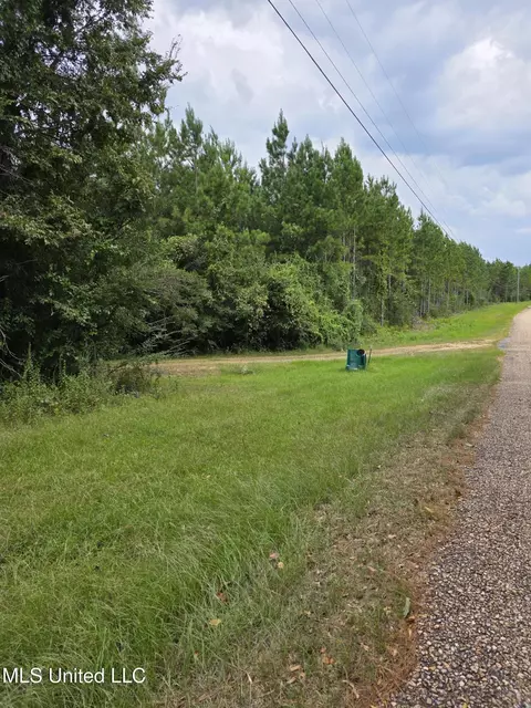 3658 NE Fugler Loop, Brookhaven, MS 39601 photo 37