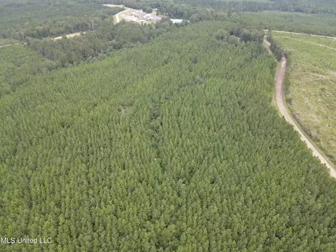 3658 NE Fugler Loop, Brookhaven, MS 39601 photo 41