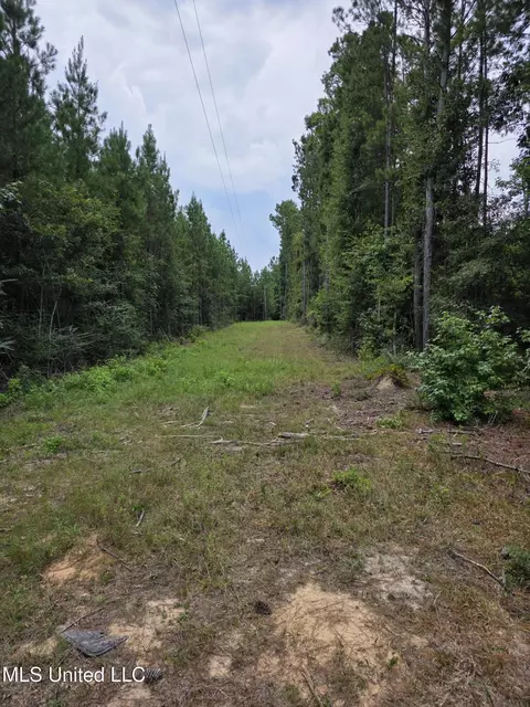 3658 NE Fugler Loop, Brookhaven, MS 39601 photo 36