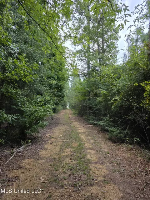 3658 NE Fugler Loop, Brookhaven, MS 39601 photo 35