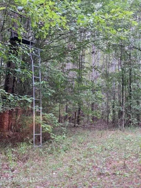 3658 NE Fugler Loop, Brookhaven, MS 39601 photo 30