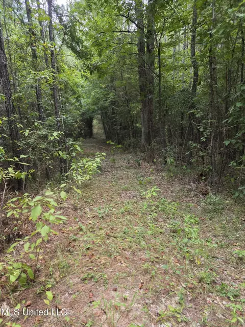 3658 NE Fugler Loop, Brookhaven, MS 39601 photo 32