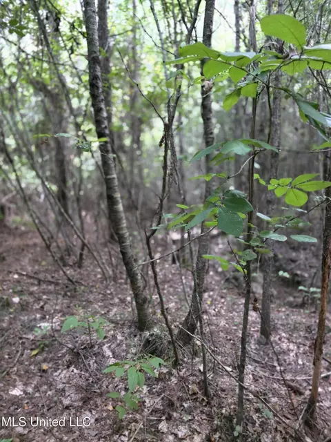 3658 NE Fugler Loop, Brookhaven, MS 39601 photo 33