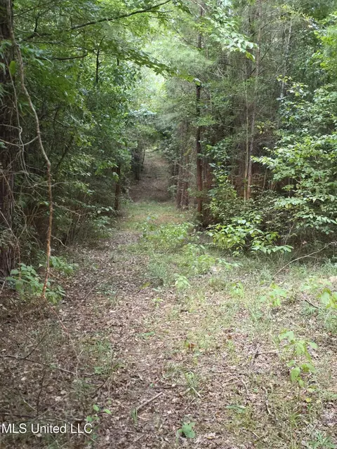 3658 NE Fugler Loop, Brookhaven, MS 39601 photo 29