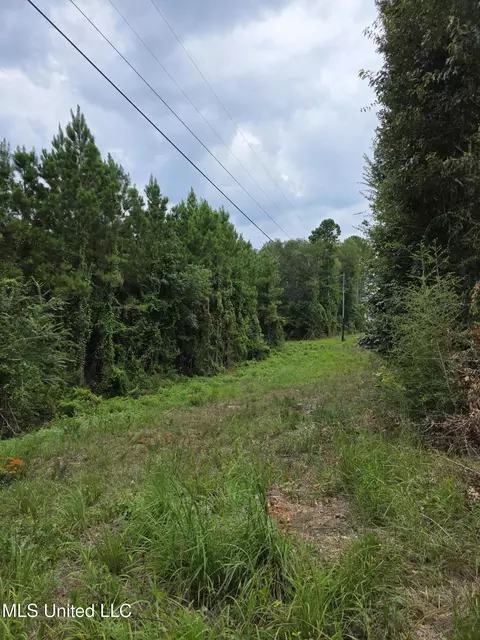 3658 NE Fugler Loop, Brookhaven, MS 39601 photo 38
